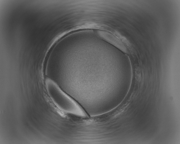 X0000083971230200702161055