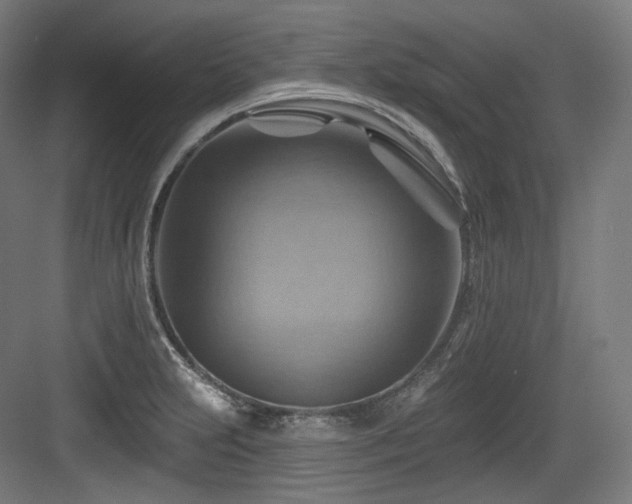 X0000083971231200702161055