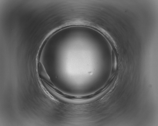 X0000083971238200702161055