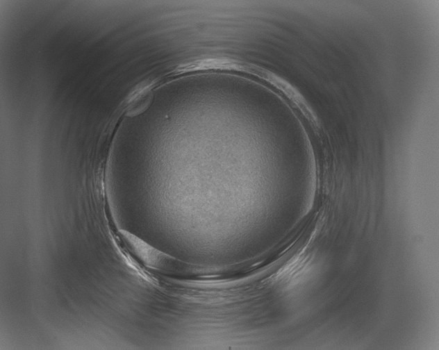 X0000083971241200702161055