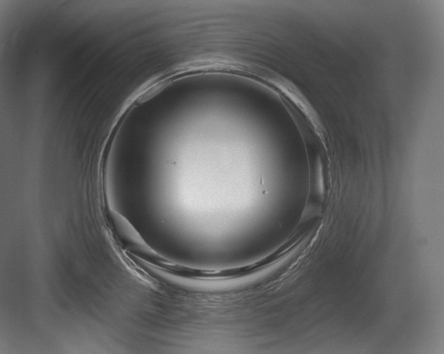 X0000083971242200702161055