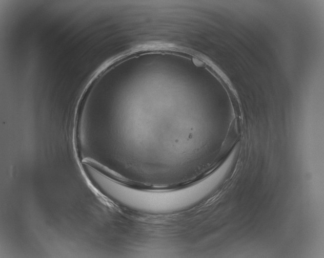 X0000083971245200702161055
