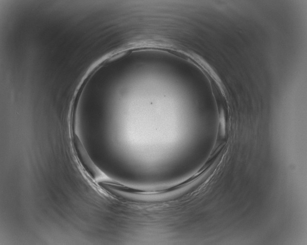 X0000083971246200702161055