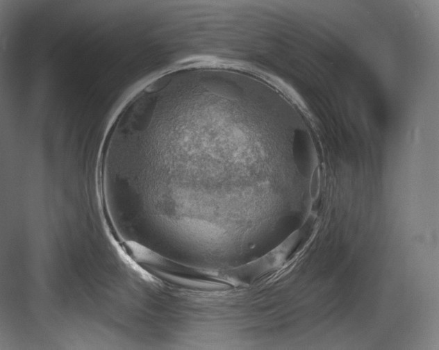 X0000083971247200702161055