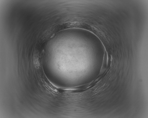 X0000083971250200702161054