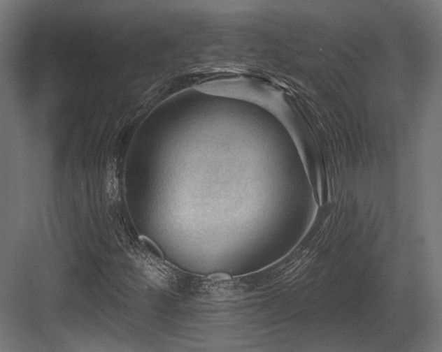 X0000083971252200702161054