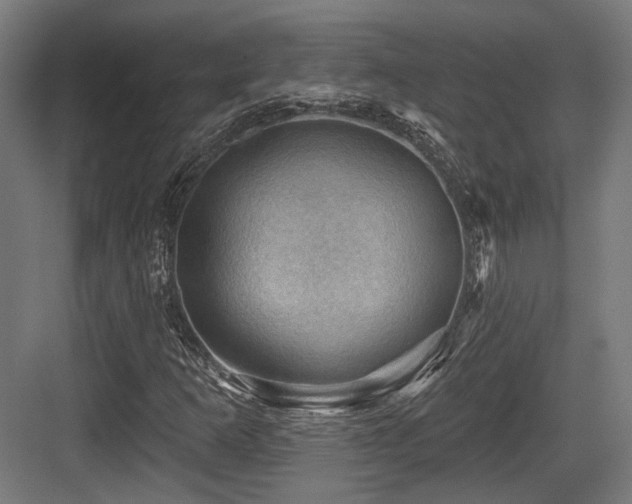 X0000083971253200702161054