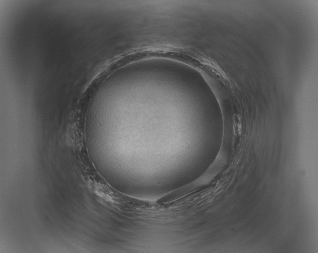 X0000083971256200702161054