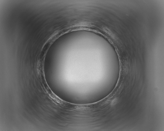 X0000083971258200702161054