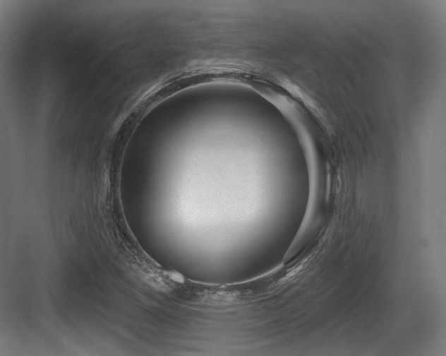 X0000083971261200702161054