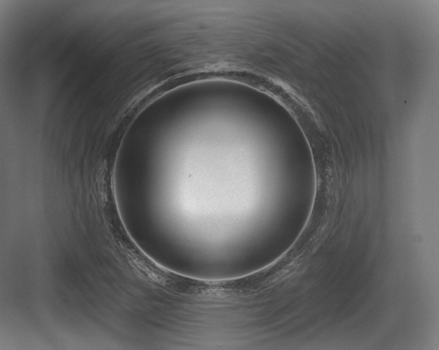 X0000083971265200702161054