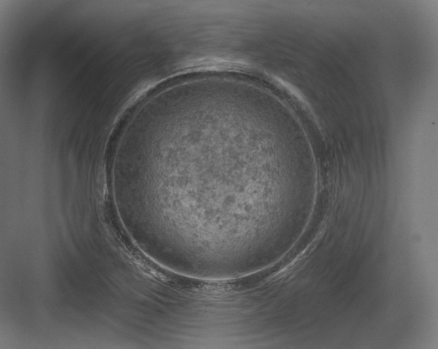 X0000083971267200702161054