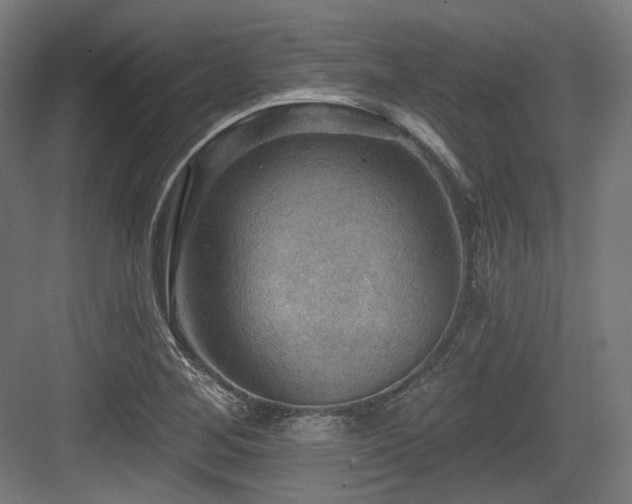X0000083971268200702161054