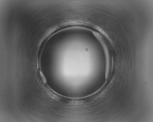 X0000083971269200702161054
