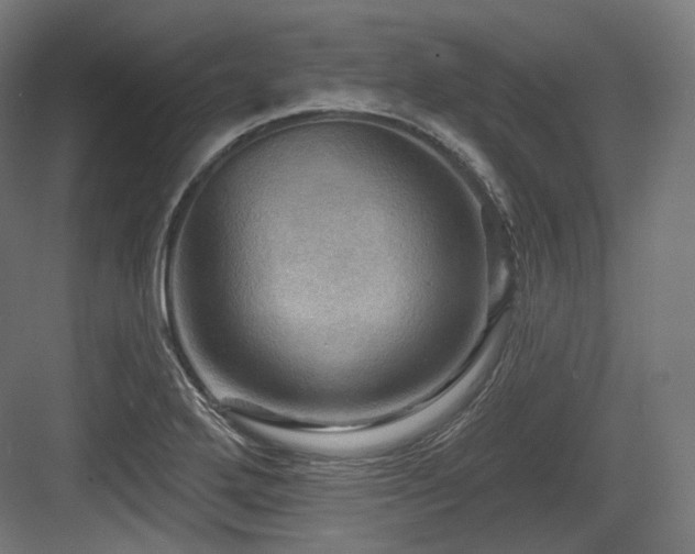 X0000083971272200702161054