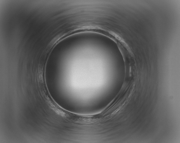 X0000083971273200702161054