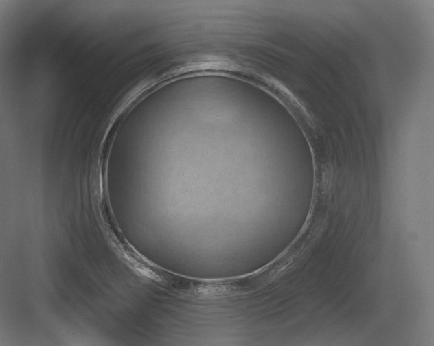 X0000083971274200702161054