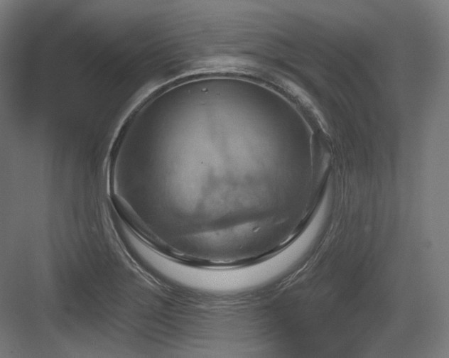 X0000083971275200702161054