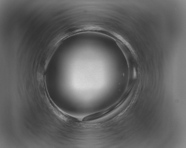 X0000083971281200702161054