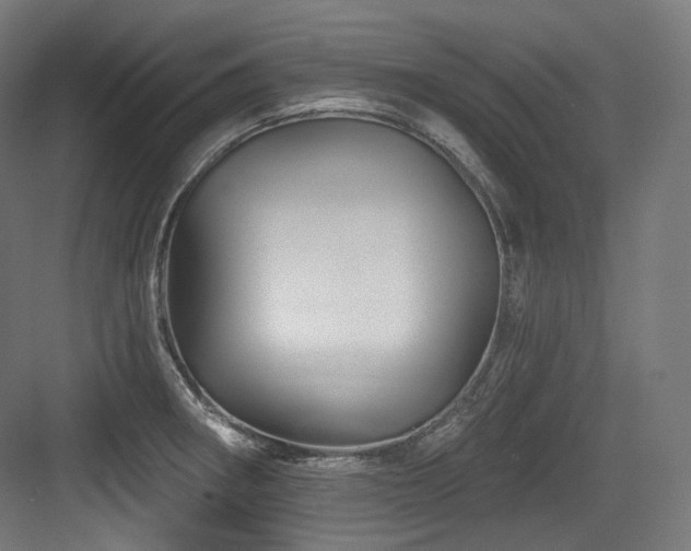 X0000083971282200702161054