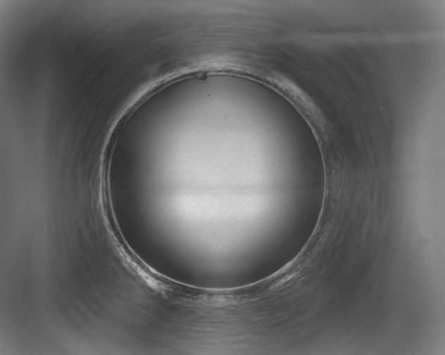 X0000083971286200702161054