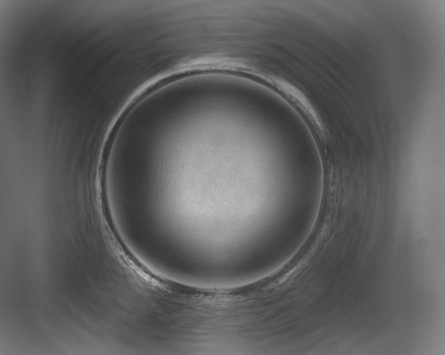 X0000083971288200702161054