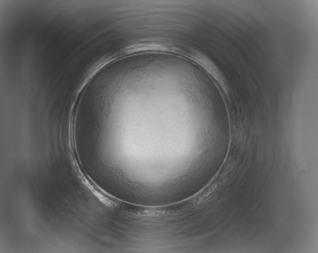 X0000083971290200702161054