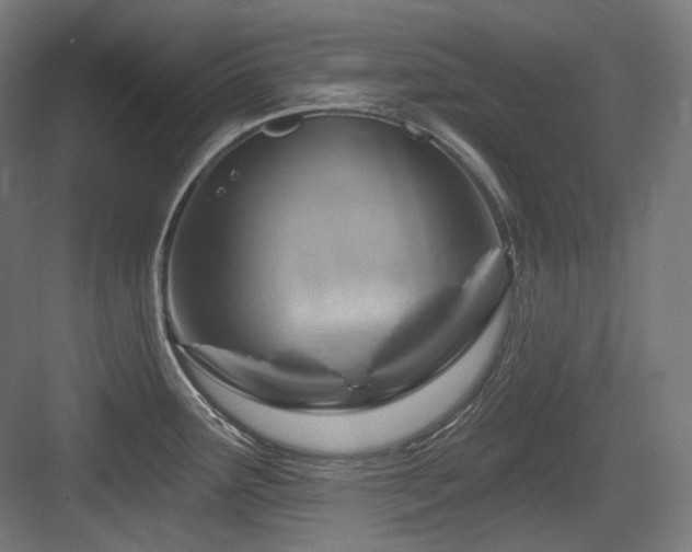 X0000083971291200702161054