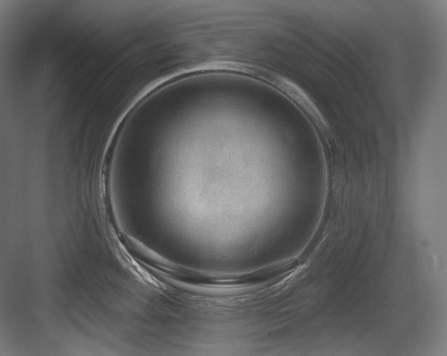 X0000083971292200702161054