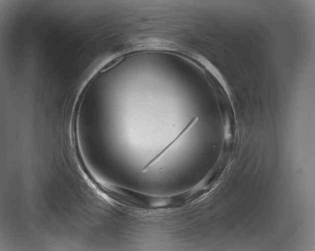 X0000083971293200702161054