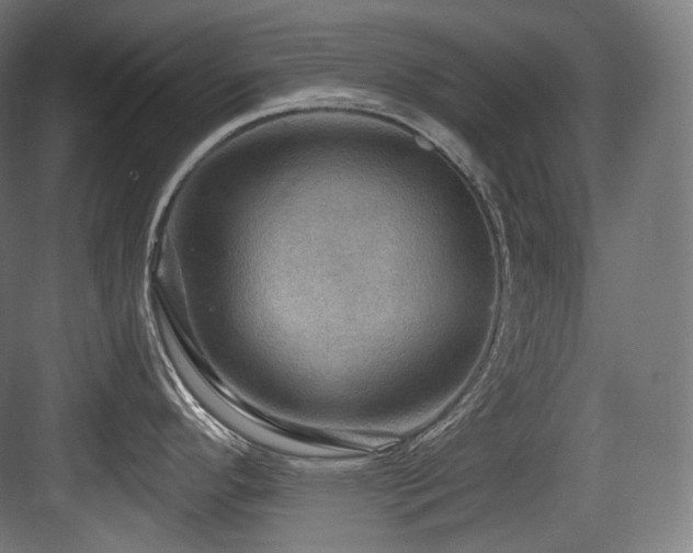 X0000083971296200702161054