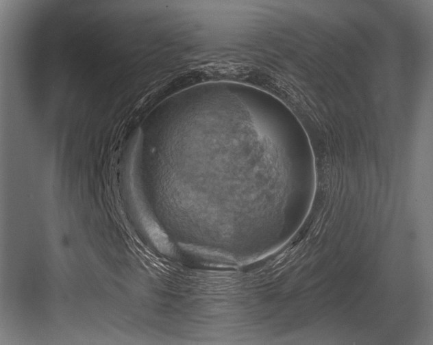 X0000083971297200702161053
