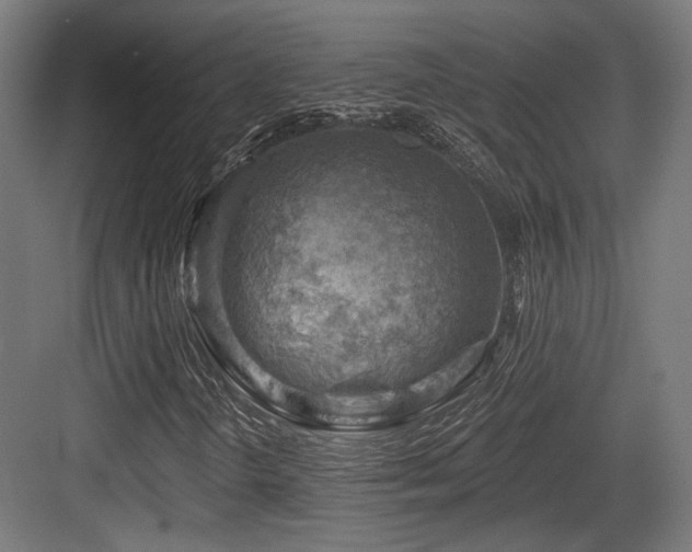 X0000083971298200702161053
