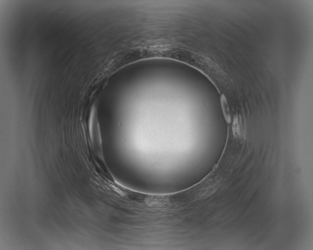 X0000083971299200702161053