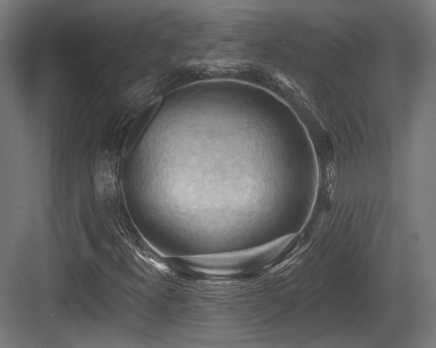 X0000083971300200702161053