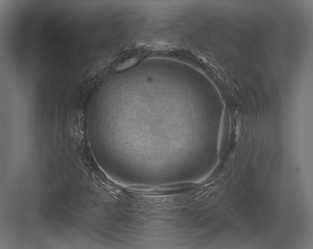 X0000083971301200702161053