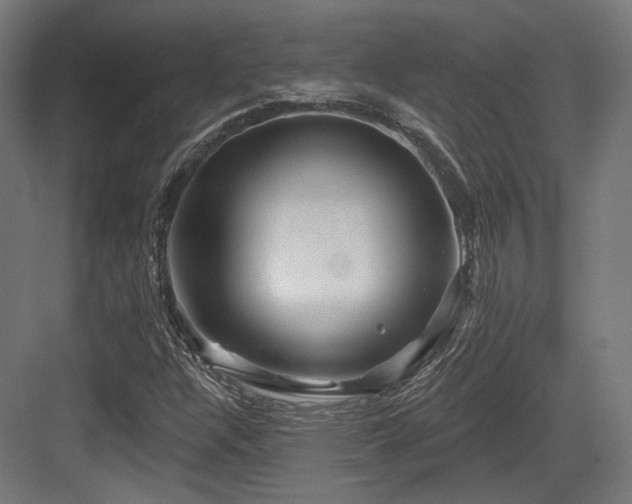 X0000083971304200702161053