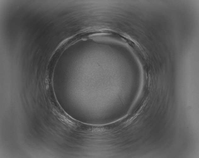 X0000083971306200702161053