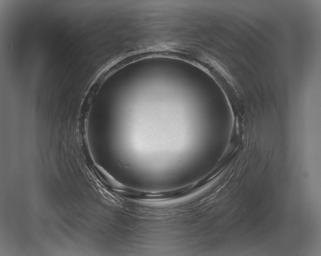 X0000083971308200702161053
