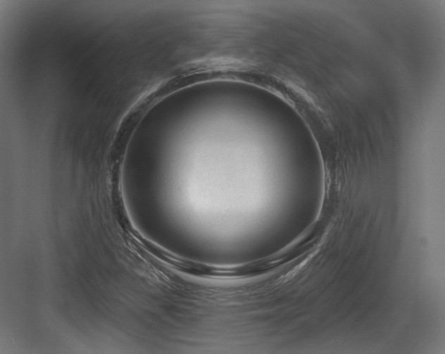 X0000083971309200702161053