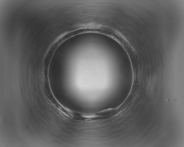 X0000083971315200702161053