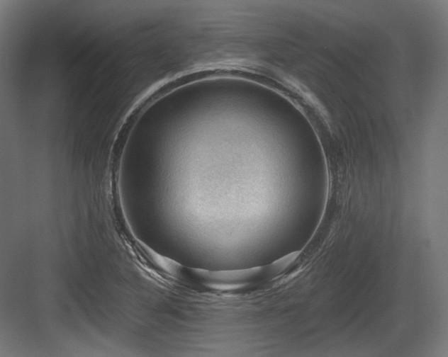 X0000083971316200702161053