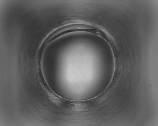 X0000083971318200702161053