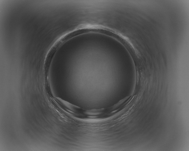 X0000083971319200702161053