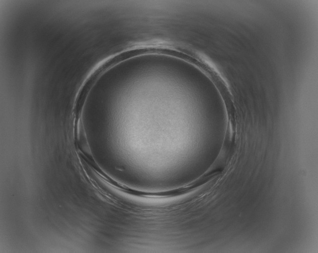 X0000083971320200702161053