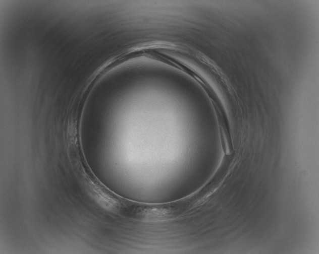 X0000083971321200702161053