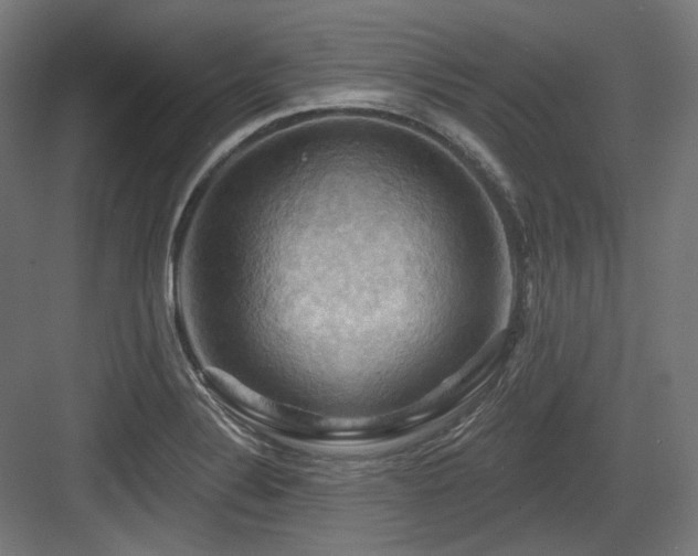 X0000083971324200702161053