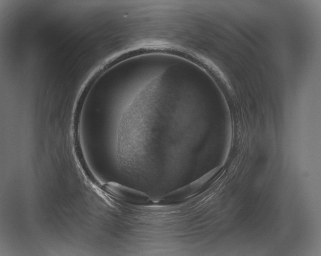 X0000083971327200702161053