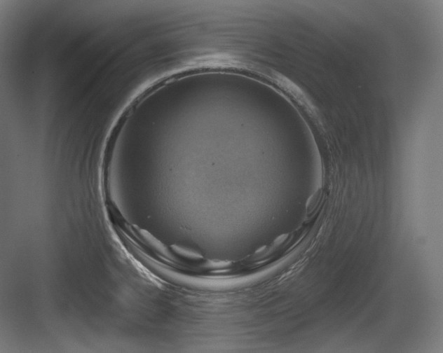 X0000083971334200702161053