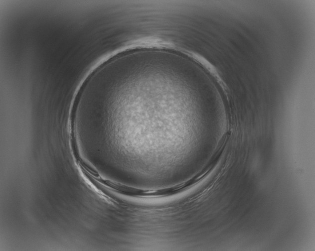 X0000083971335200702161053